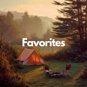 Favorites Spotify playlist cover art