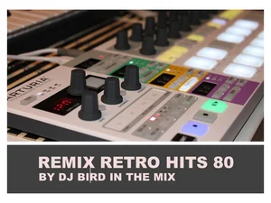 Remix Retro Hits 80 by DJ Bird in the mix. cover