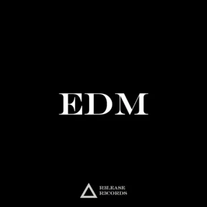 EDM 2024 Spotify playlist cover art
