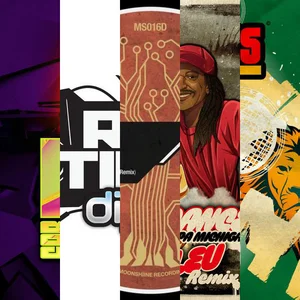 The Sound of Ragga Jungle