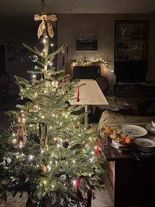 #7. Holiday Cocktail & Christmas Dinner Party Dinner Party Playlist Spotify