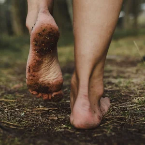 GROUNDING MUSIC ● ROOT CHAKRA playlist cover