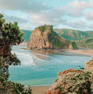 NZ SUMMER PLAYLIST ☀️🌊🐚 — cover art