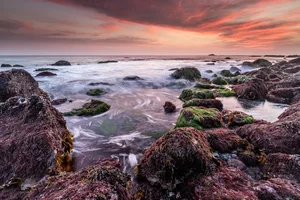 SoCal Indie Tidepool cover