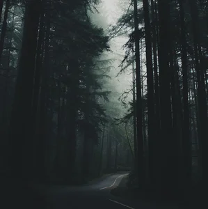 another twilight playlist Spotify playlist cover art