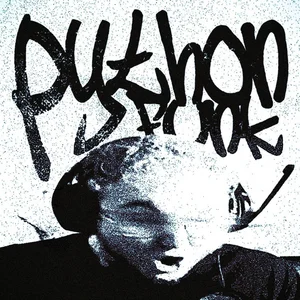 PYTHON FUNK - RD12, Sayfalse | Viral Tiktok Funk