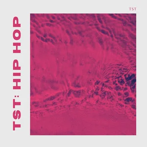 TST: Hip Hop — cover art