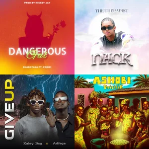 Salone Hits 🎶🇸🇱🔥 — cover art