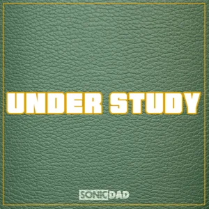 Under Study  - Indie Study Vibes – Chill Focus & Alternative Spotify playlist cover art