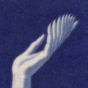 reverberation playlist cover