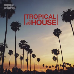 Tropical House 🌴 Deep House & Tropical House Hits 🌴 playlist cover