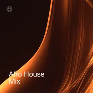 Afro House Boutique Spotify playlist cover art
