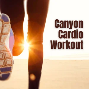 #4. Canyon Cardio Workout Walking Playlist Spotify