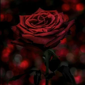 🔞🔥 Dark Pop | Rosenfeld, Two Feet, Ex Habit etc.