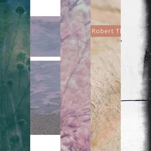 The Sound of Drone Ambient cover