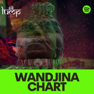 Wandjina Chart Spotify playlist cover art