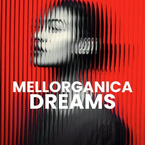 Mellorganica Dreams: Melodic House & Techno cover