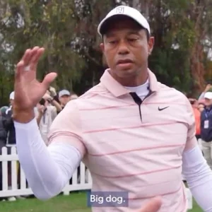 #4. GOLF W THE BOYS🍻🏌🏻‍♂️ Golf Playlist Spotify