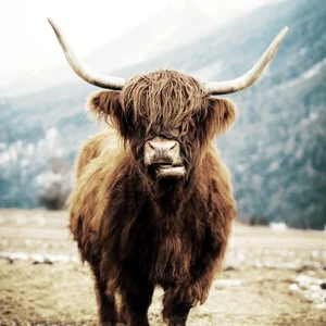 Cheaper Than Therapy — cover art