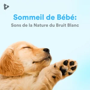 Sommeil de Bébé: Sons de la Nature du Bruit Blanc