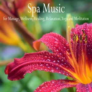 Serenity: 101 Relaxing Spa Music Songs, Sound Therapy for Relaxation With Sounds of Nature