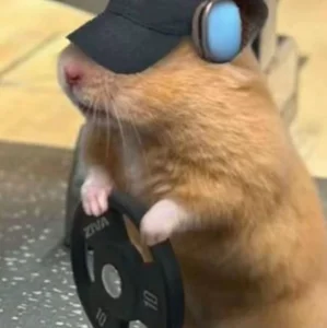 Imagem de NAV