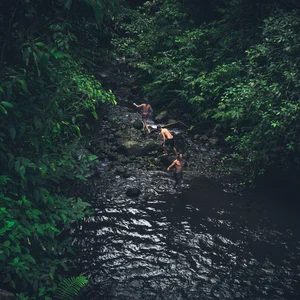 Melodic Beats, Deep Haus, Triphop 🐬 cover