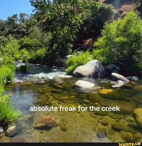 #3. freak in the creek Bluegrass Playlist Spotify