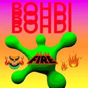 New Bohdi’s Spotify playlist cover art