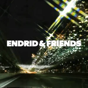 ENDRID & FRIENDS Spotify playlist cover art