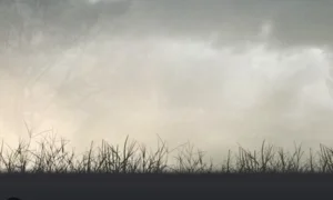 Atmospheric indie 