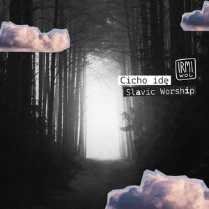 Cicho idę - Irmina Wolniak Spotify playlist cover art