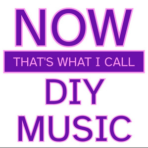 ✨NOW THAT’S WHAT I CALL DIY MUSIC✨