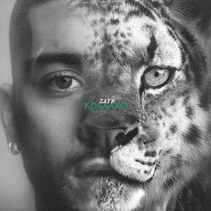 Betting Folk ZAYN cover