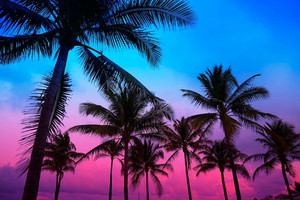 Alternativo Tropical
