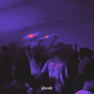 phonk ☠︎︎ ⋆₊ ♱