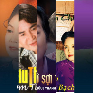 The Sound of Tân Cổ image