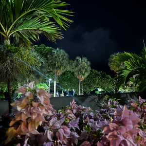 M D Playlist By Char Spotify