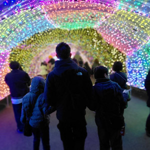 Ryuichi Playlist — cover art