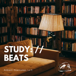 POV: Study playlist cover