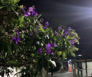 Imagem de Pequenas Vitórias