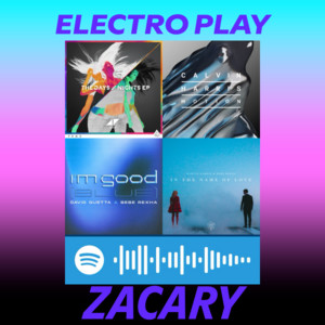ELECTRONICA DOM