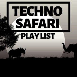 Techno Safari Tour Spotify playlist cover art