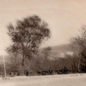 Scarface Playlist By Oguzhan Spotify