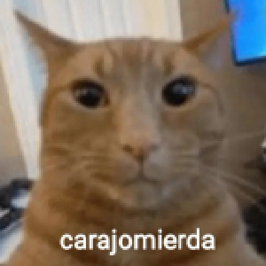 Playlist de navi — cover art