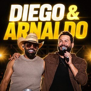 DIEGO E ARNALDO 2026 🍺 Na Tora 3 🪵 10 Anos - playlist by Lucas