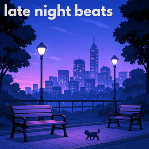 late night beats - hikari cover
