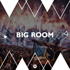 BIG ROOM PLAYLIST cover