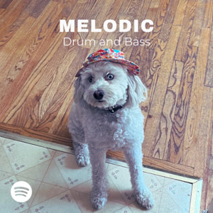 Melodic Drum and Bass 2025 cover