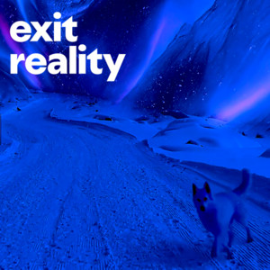 exit reality cover